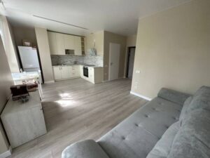 ADU remodel